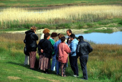 Guided nature tours