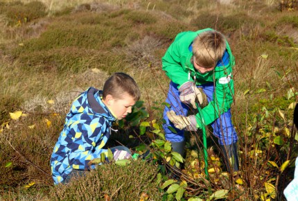 Beheer van de natuur