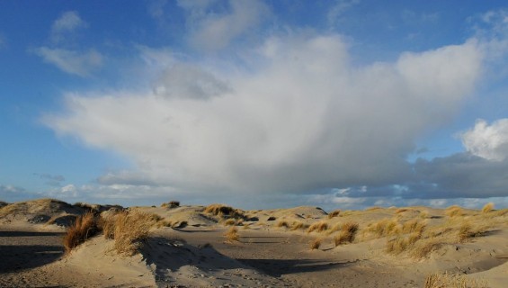 Erleben Sie die D�nen (1,5 km)