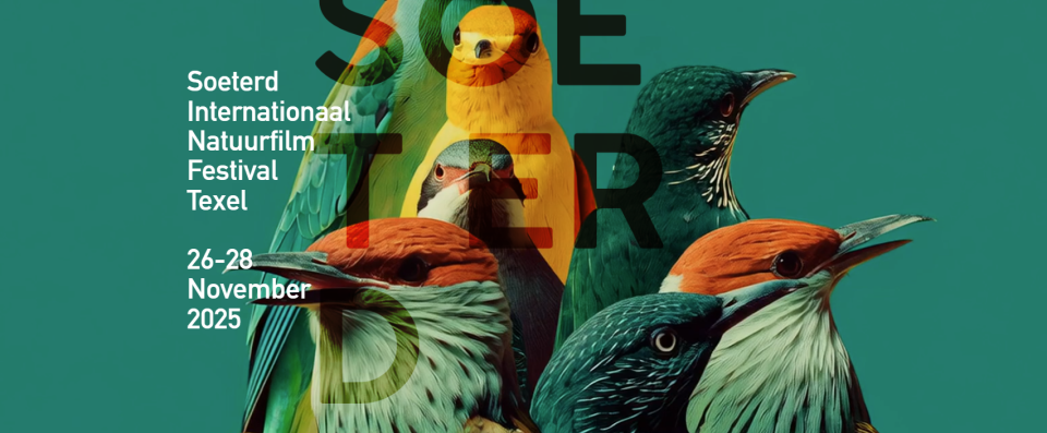 Vogelexcursie Soeterd Natuurfilmfestival