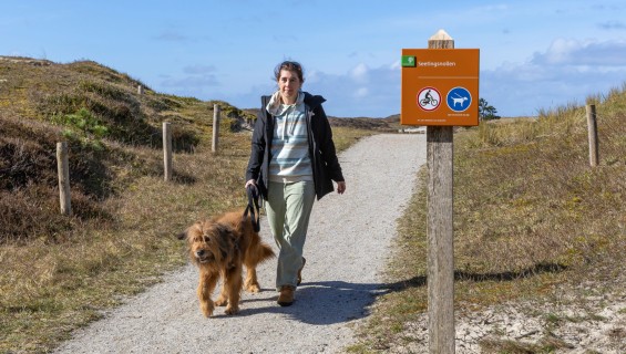 Mit dem Hund